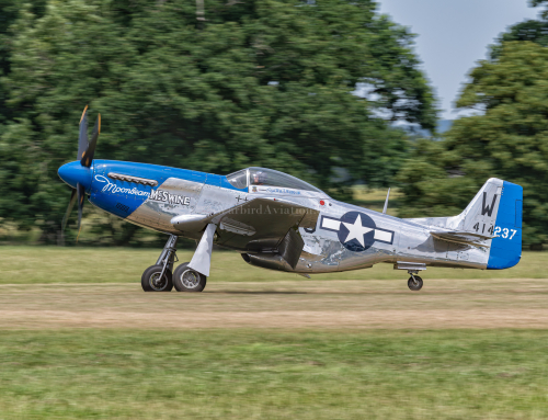 North American P-51D 44-12473 Mustang “Moonbeam McSwine” The Spitfire Company